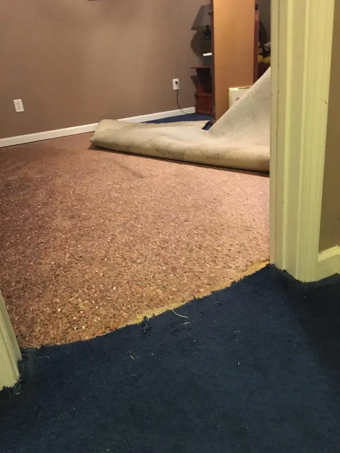 Carpet pad removal revealing water damage during Drying & Dehumidification in Woodmoor
