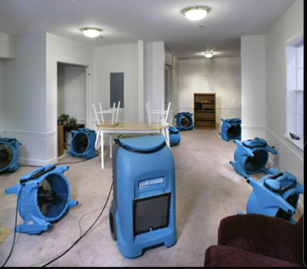 Air movers and dehumidifier setup for Water Extraction & Removal in Woodmoor