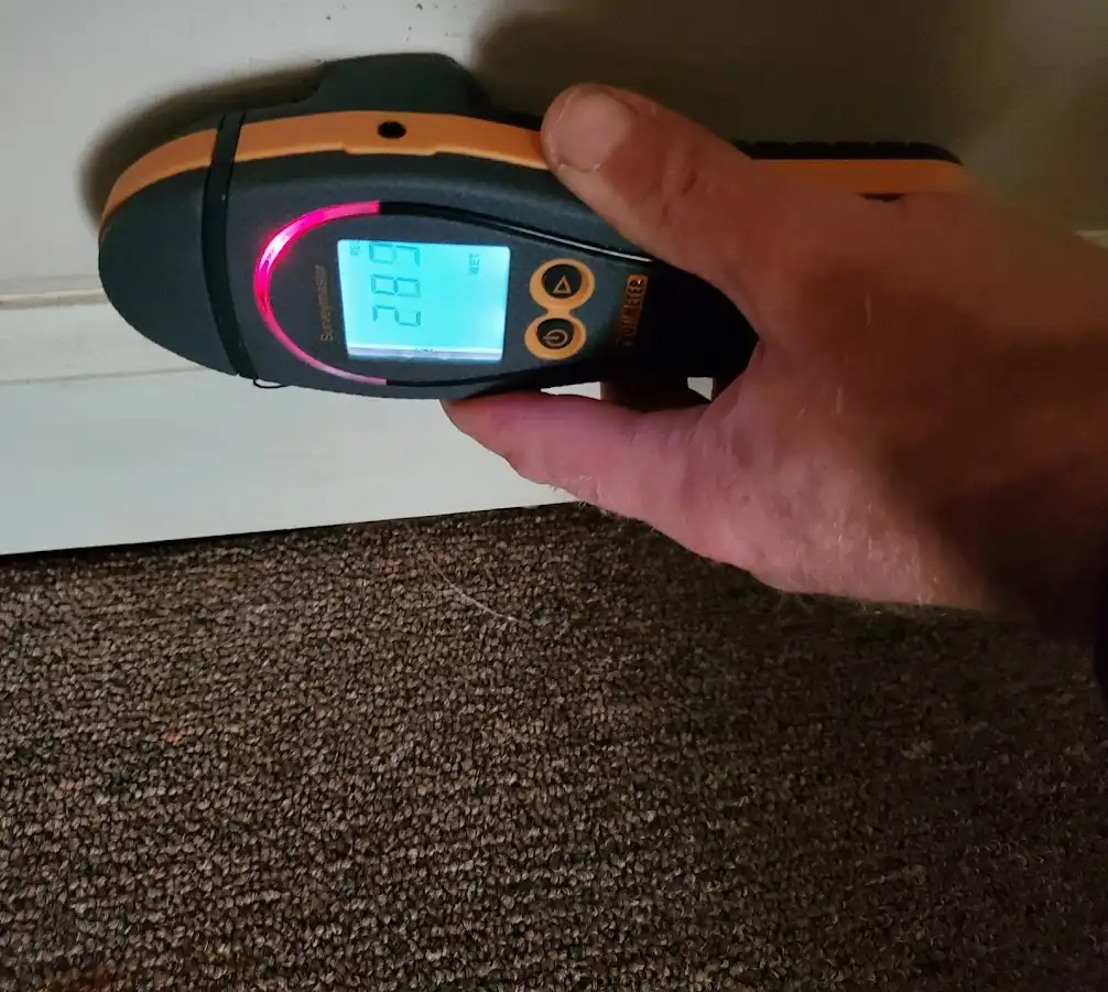 Moisture detection at baseboard during Sewage Cleanup & Sanitation in Woodmoor